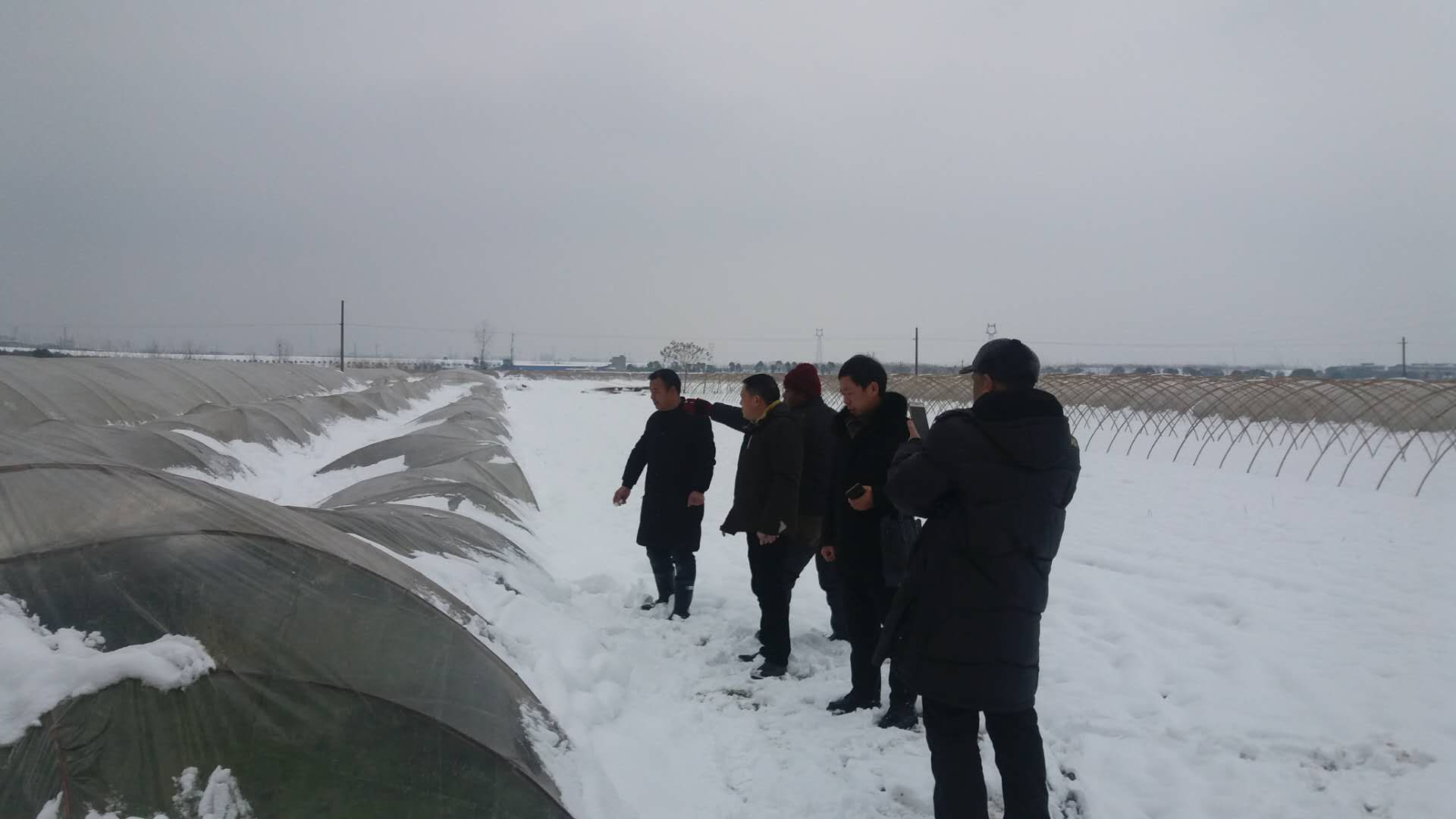 QQ图片20190102092807.jpg